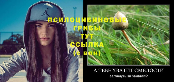 2c-b Алексеевка
