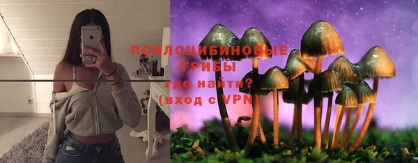 mdpv Алексин